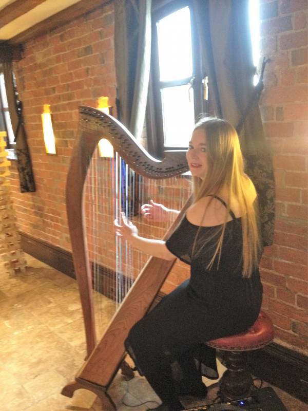 Harpist for drinks reception at Swancar Farm Country House, Nottingham